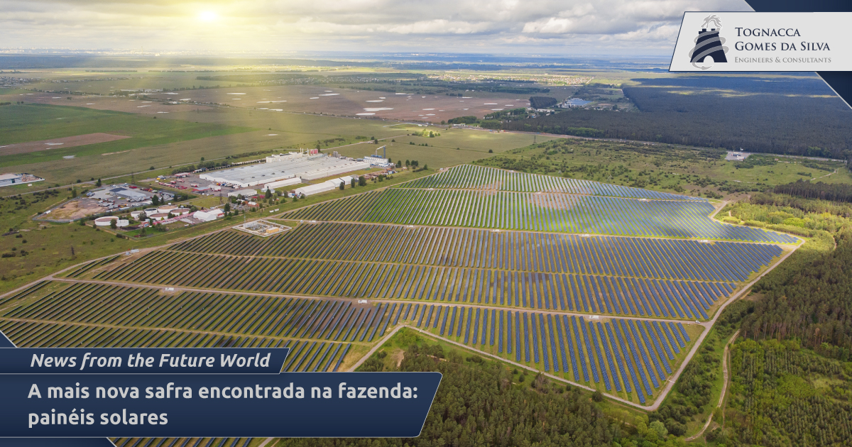 A mais nova safra encontrada na fazenda: painéis solares